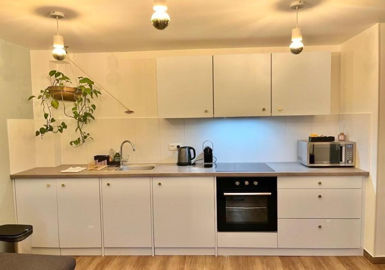 Appartement 2P Strasbourg Centre Eksteriør bilde